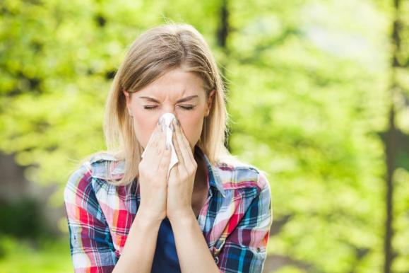 Thérapie contre l'allergie au pollen